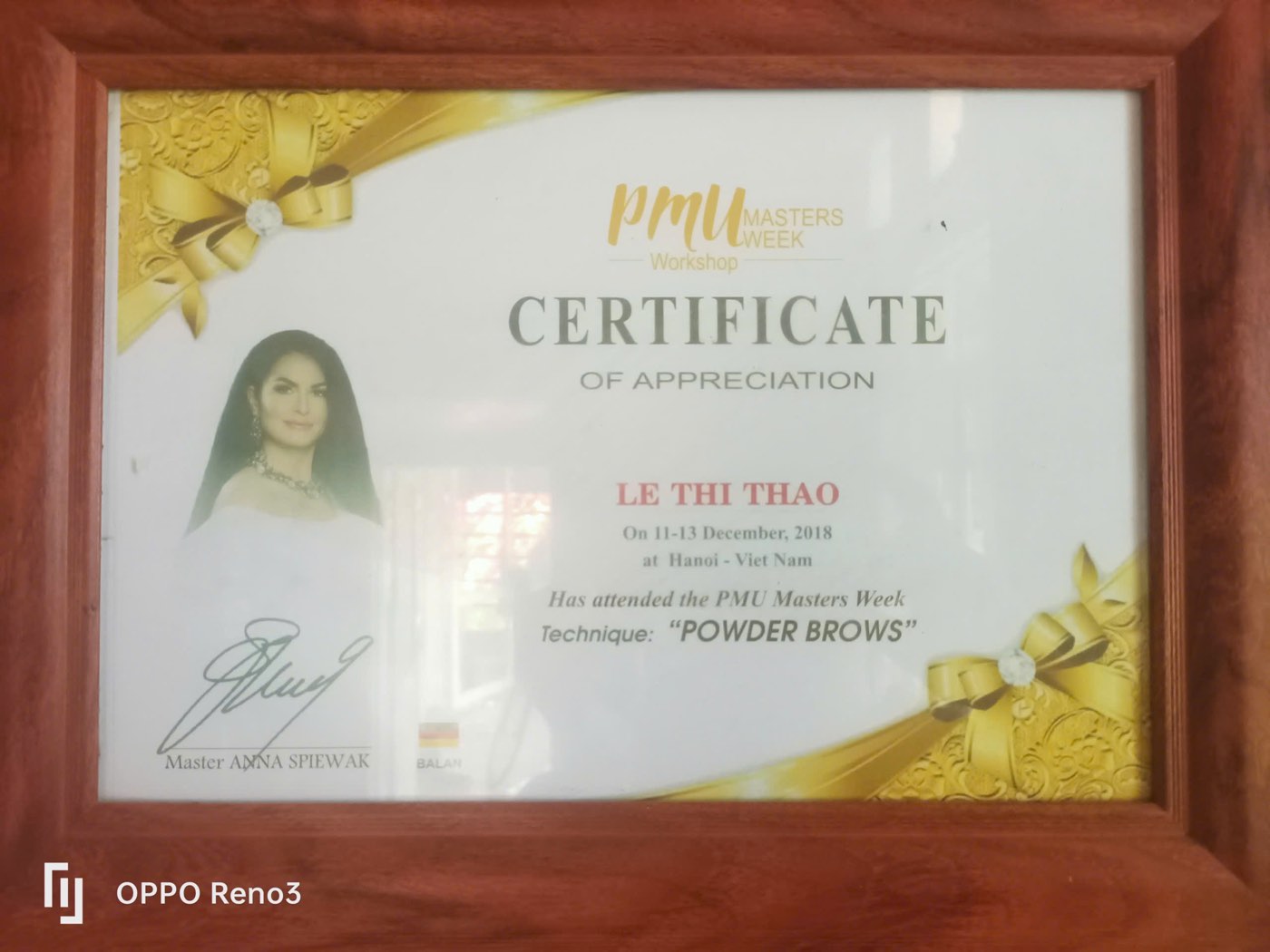 PMU Masters Week 2018 — Kỹ thuật Powder Brows (phun bột)